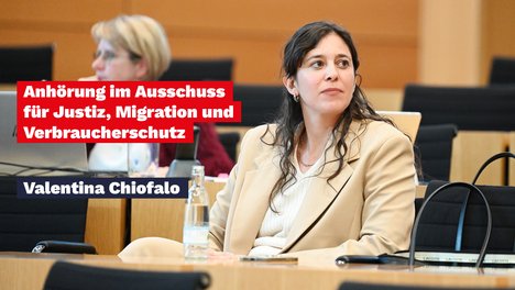 Anhörung AfD-Verbot