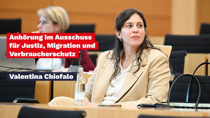 Anhörung AfD-Verbot