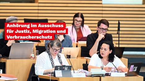 Anhörung AfD-Verbot