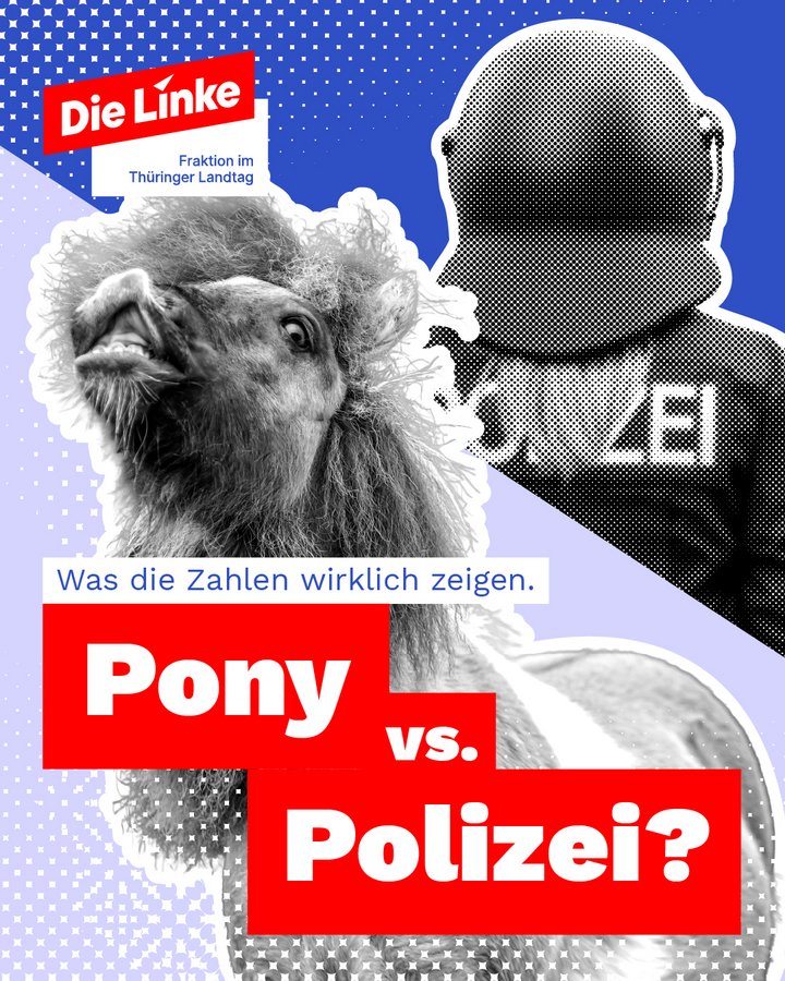 Polizeiverletzungen_Slide_1