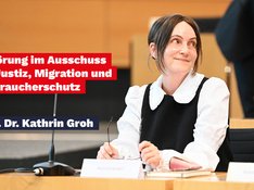 Anhörung AfD-Verbot