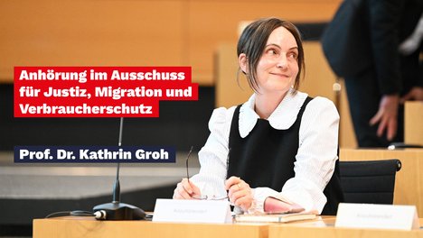 Anhörung AfD-Verbot