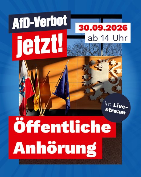 Anhörung AfD-Verbot
