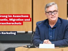Anhörung AfD-Verbot