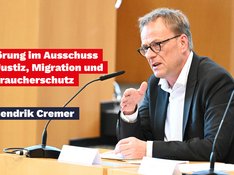Anhörung AfD-Verbot