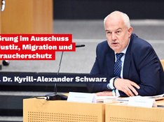 Anhörung AfD-Verbot
