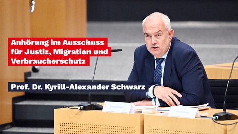 Anhörung AfD-Verbot
