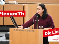 Plenum Katharina König-Preuss